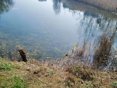 -洋湖国家湿地公园