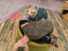 -喵匠猫主题咖啡(凯德和平广场店)