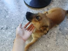 -百万叔(临湖店)