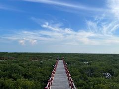 -北海金海湾红树林生态旅游区