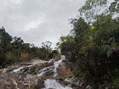 -海南霸王岭国家森林公园
