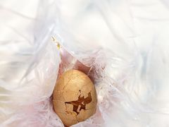 -金盆阿嬷香菇茶叶蛋(玄光店)