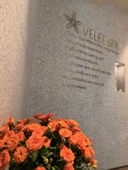 -VELEE·SPA高定疗愈会所