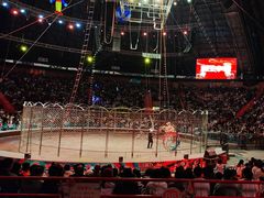 -俄罗斯国家大马戏团