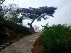 -金龙寺国家森林公园