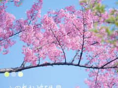 -大宁公园