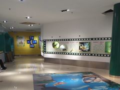 -上海昆虫博物馆