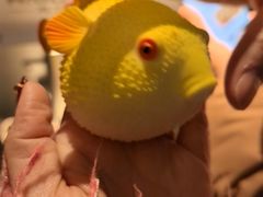 -永安鱼庄·镇江菜(东吴路店)