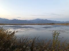 -野鸭湖国家湿地公园