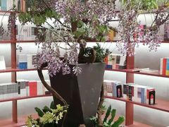 -二酉书店TOYOU BOOKS