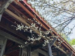 -白鹿洞书院