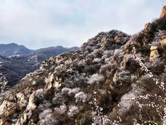-北京凤凰岭