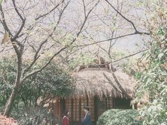 -中国茶叶博物馆(双峰馆区)