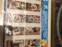 -绒爪撸猫下午茶·猫咖