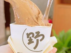 -野人先生Gelato(上海长宁龙之梦店)