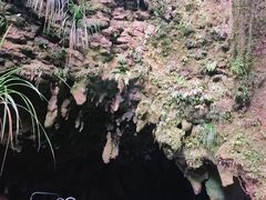-怀托摩萤火虫洞