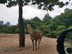 -杭州野生动物世界