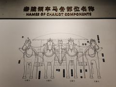 -秦始皇帝陵博物院(兵马俑)