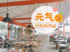 -向外鱼乐·土菜·虹鳟鱼