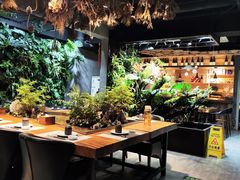 -森味薪火烧•烧鸟居酒屋•日本料理(望京店)