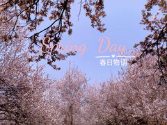 -蜀冈西峰生态公园