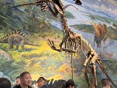 -自贡恐龙博物馆