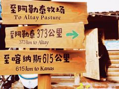 -新疆国际大巴扎