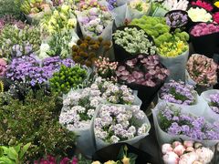 -双季花艺园艺市场(浦东店)
