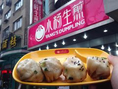 -小杨生煎(湟普汇店)