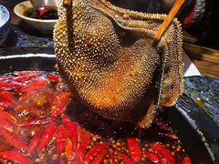 大侠水牛毛肚-蜀大侠火锅(寰球文化地标·总府店)