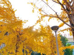 -两江幸福广场