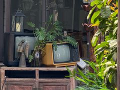 -水岸居湖景农家乐·阳澄湖大闸蟹