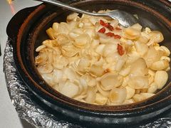 啫啫五年鲜百合-煲煲好(朝阳门店)