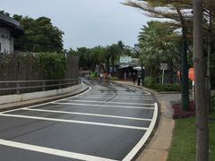 -圣淘沙天际线斜坡滑车