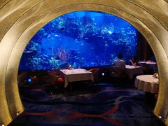 -迪拜帆船酒店海底餐厅