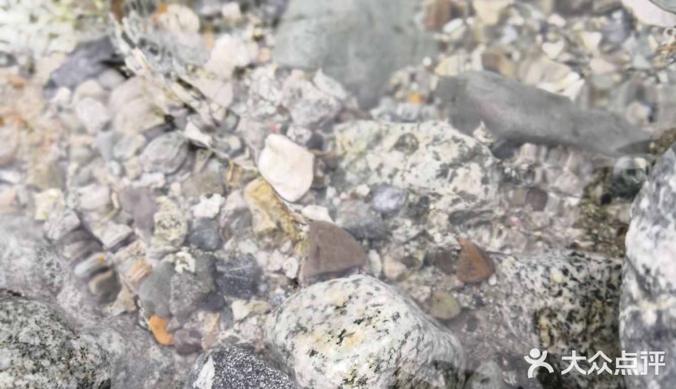 溪水水不深，基本就是齐膝盖
