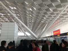 -郑州新郑国际机场T2航站楼-贵宾厅B区