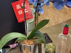 -静宜和她的朋友(星海广场店)
