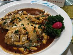 -七仙女渔港(奥邦广场店)