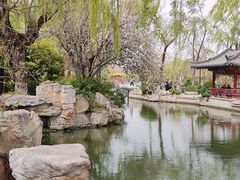 -前关湿地公园