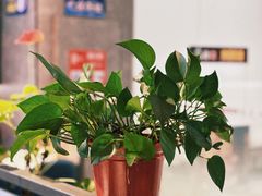 -鱼酷活鱼烤鱼(南京水游城店)