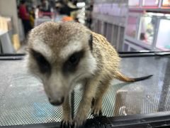 -山东柏宁水族批发广场