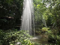 -绿光森林餐厅