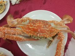螃蟹-三亚胜意海景酒店·海鲜自助餐厅(三亚湾路店)