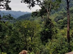 -黔灵山公园-南门售票处