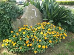 android_upload_pic-上海虹桥迎宾馆