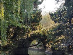 -上海醉白池公园