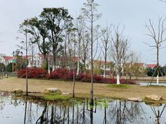 -上海长兴岛郊野公园