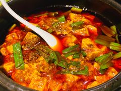 -陈麻婆豆腐总店