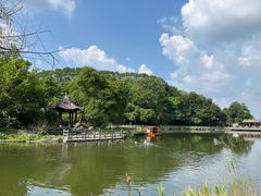 -广州市帽峰山景区